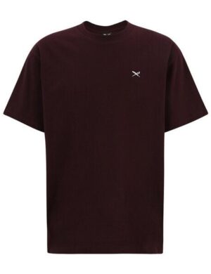 Iriedaily Mini Flag Relaxed Tee