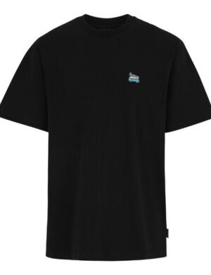 Iriedaily Smokin Van T-Shirt