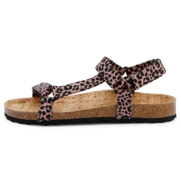 large-10580.jpg large-10580.jpg