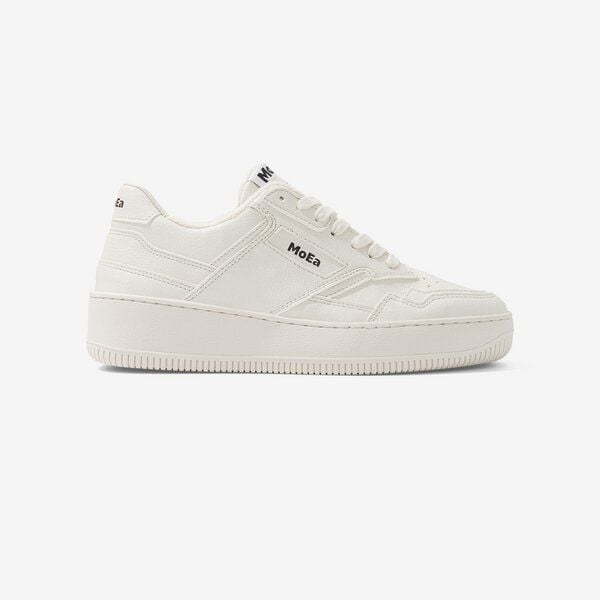 large-13572.jpg large-13572.jpg