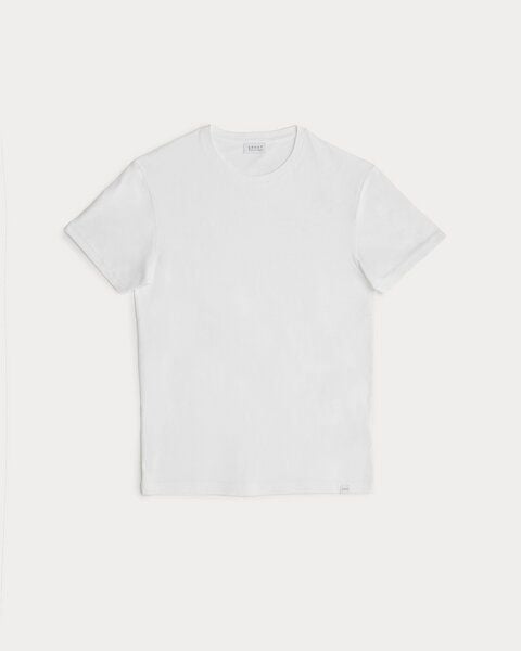 large-15672.jpg large-15672.jpg