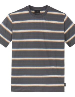 recolution T-Shirt EPAZOTE STRIPES