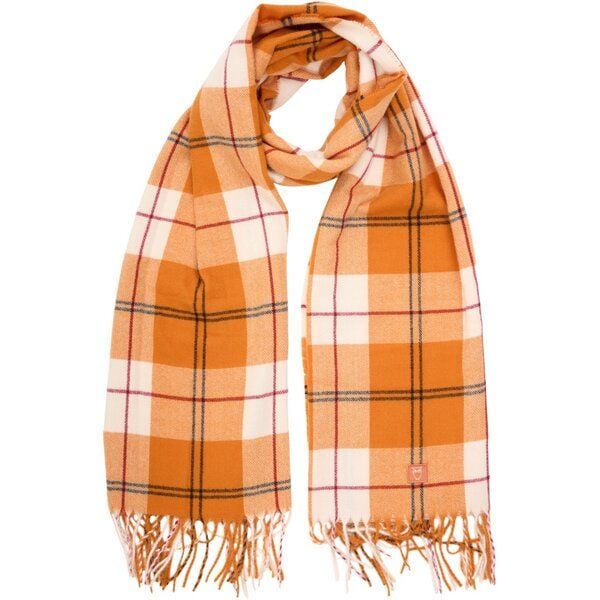 large-18080.jpg large-18080.jpg