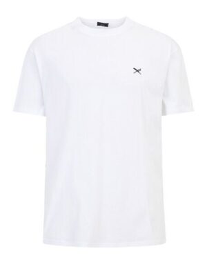 Iriedaily Mini Flag Relaxed Tee