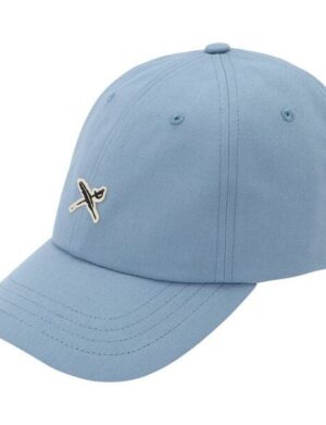 Iriedaily Mini Flag Dad Cap