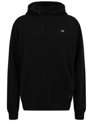 Iriedaily Mini Flag 2 Hoody