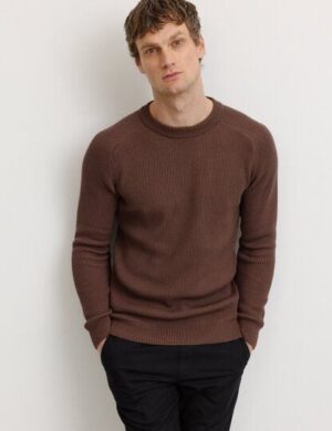 Herren Strickpullover aus Bio-Baumwolle – SALVIA – recolution