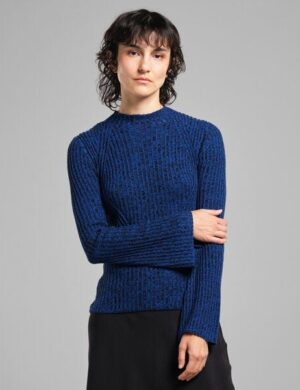 DEDICATED Langarmshirt Fide – Blue/Black