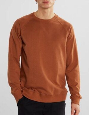 DEDICATED Sweatshirt Malmoe Base