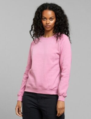Dedicated Sweatshirt Ystad Raglan Base
