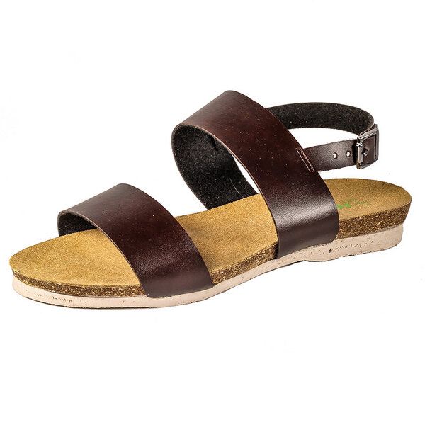 large-6599.jpg large-6599.jpg