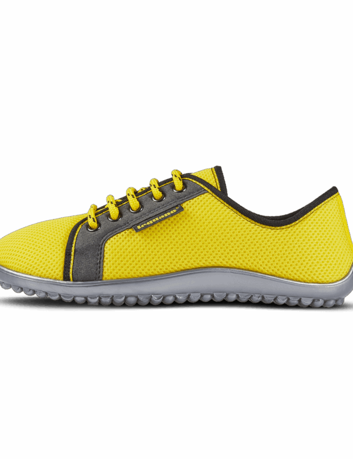 leguano-aktiv-sonnengelb1-1.png leguano-aktiv-sonnengelb1-1.png