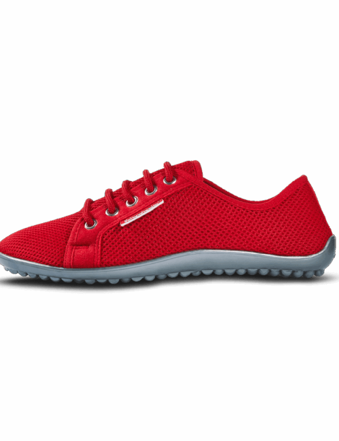 leguano_aktiv_rot1.png leguano_aktiv_rot1.png