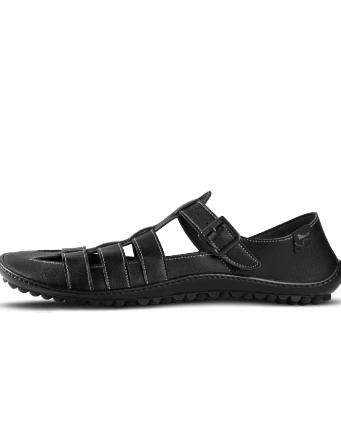 leguano_jaro_schwarz_01-1 leguano_jaro_schwarz_01-1