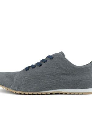 SORBAS '53 Re-Canvas