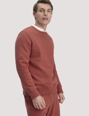 hessnatur Herren Sweatshirt Regular BETTERRECYCLING aus Bio-Baumwolle - braun