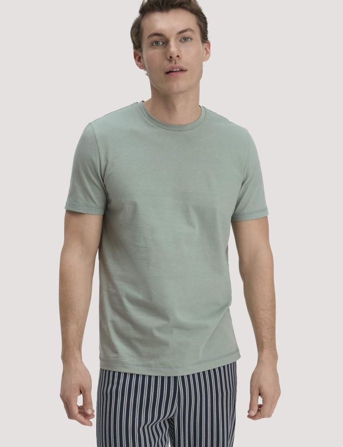 hessnatur Herren T-Shirt PURE COTTON aus Bio-Baumwolle - grün