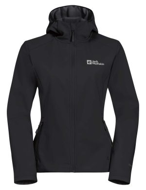 BORNBERG HOODY W