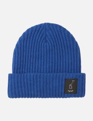 Beanie Pothos Geisterfahrer