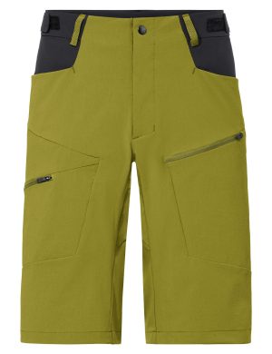 MEN'S TEKOA SHORTS IV